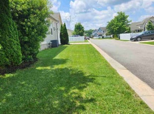Trey B.'s lawn maintenance service result