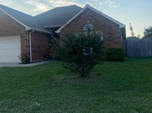 Donna V.'s lawn service service result