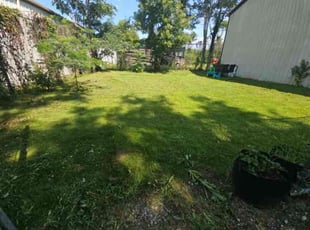 Mari-Sunshine C.'s turf maintenance service result