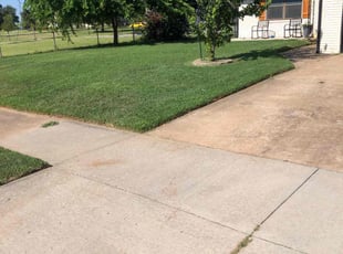 Rup B.'s lawn care service result