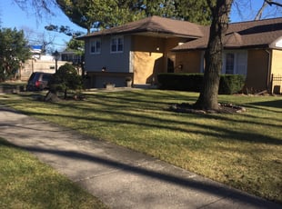 Angela W.'s Leaf Removal service result