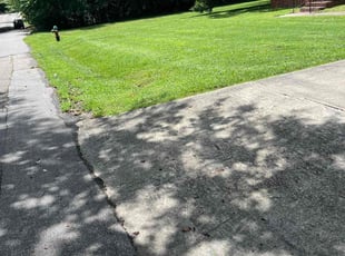 Sammi P.'s grass maintenance service result