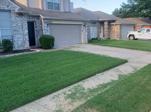 Maria P.'s turf care service result