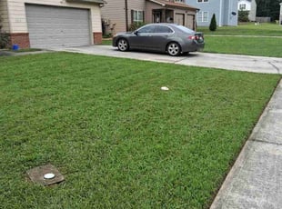 Linda G.'s grass maintenance service result