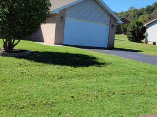 Jaime D.'s lawn maintenance service result