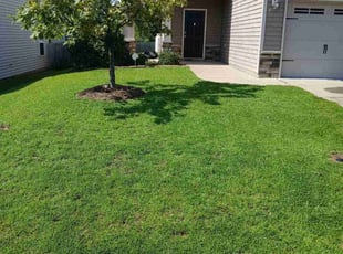 John P.'s turf maintenance service result