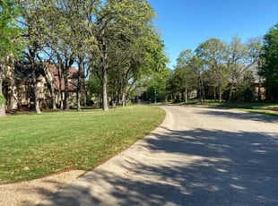 Dan G.'s yard care service result