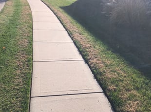 Minawattie J.'s Leaf Removal service result