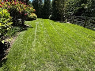 Robert C.'s turf maintenance service result