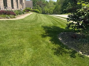 Connie M.'s turf maintenance service result