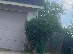 Robia G.'s Bush Trimming service result
