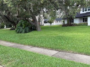 Melody B.'s lawn maintenance service result