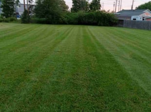 Adrian R.'s lawn care services service result