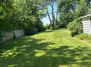 Chris M.'s lawn maintenance service result