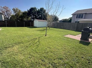 Michael L.'s grass maintenance service result