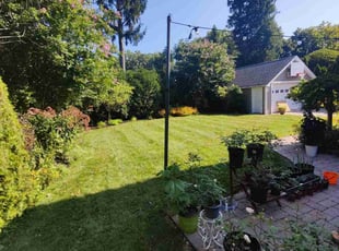 Chris C.'s turf maintenance service result