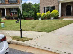 Jason S.'s turf maintenance service result
