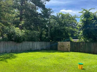 Suzanne T.'s turf maintenance service result