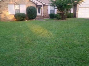 Pamela B.'s lawn care services service result