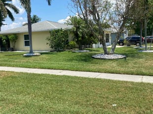 Amzi W.'s turf care service result