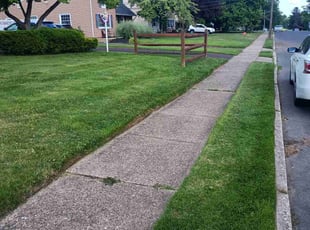Dyanne D.'s lawn maintenance service result