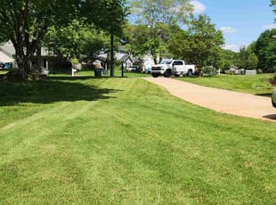 Pam L.'s turf care service result