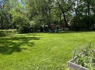 Curtis D.'s lawn maintenance service result