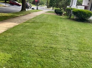 Kris Y.'s gardening service service result