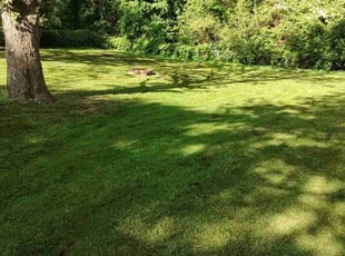 Brennen D.'s lawn maintenance service result