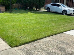 Satya K.'s Tree Care service result