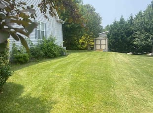 Emma W.'s lawn maintenance service result