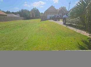 Melanie P.'s grass cutting service result