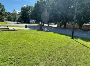 Hamilton D.'s grass maintenance service result