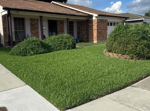 Matt G.'s lawn care services service result