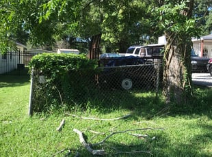 Cheryl H.'s Bush Trimming service result