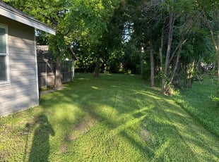 Dorian H.'s lawn maintenance service result