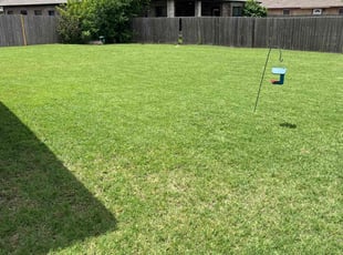 Ollis B.'s grass cutting service result