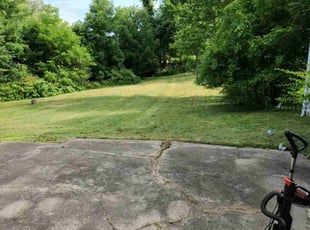 Miranda M.'s lawn care service result