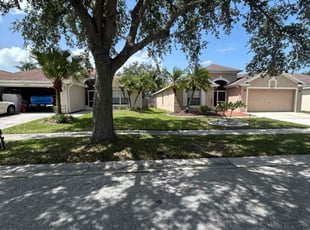 Deb W.'s turf maintenance service result