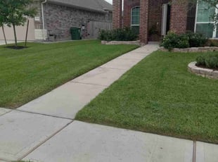 Balexous L.'s turf maintenance service result