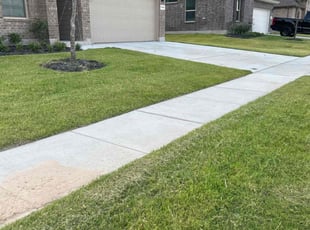 Jerry H.'s turf care service result
