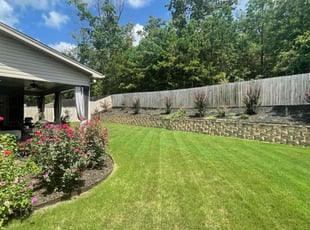 Jasmine P.'s grass cutting service result