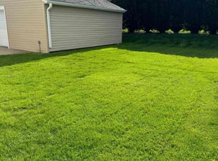 Amanda C.'s yard care service result