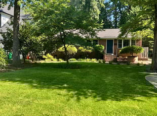 Jayanna C.'s lawn care services service result