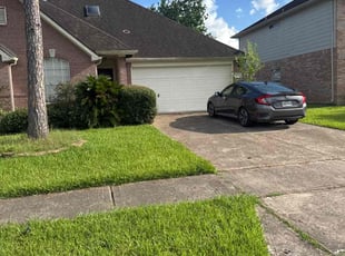 Ruth M.'s turf maintenance service result