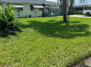 Corrlin P.'s grass cutting service result