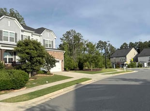Andrea H.'s lawn care service result