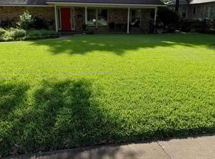 Leslie L.'s lawn maintenance service result
