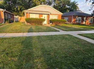 Lauren T.'s turf care service result