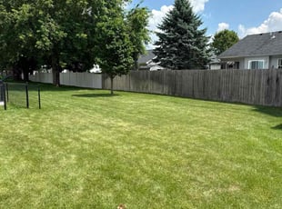 Kay A.'s lawn maintenance service result
